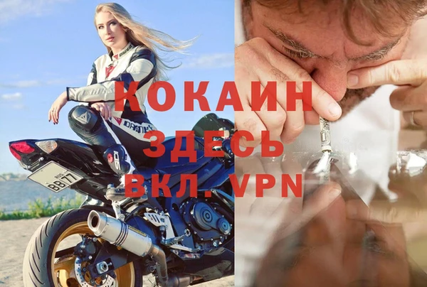 твердый Сураж