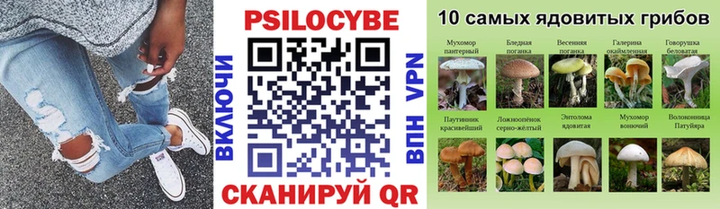 ссылка на мегу ONION  как найти закладки  Няндома  Галлюциногенные грибы Psilocybe 